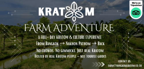 Kratom Farm Adventure