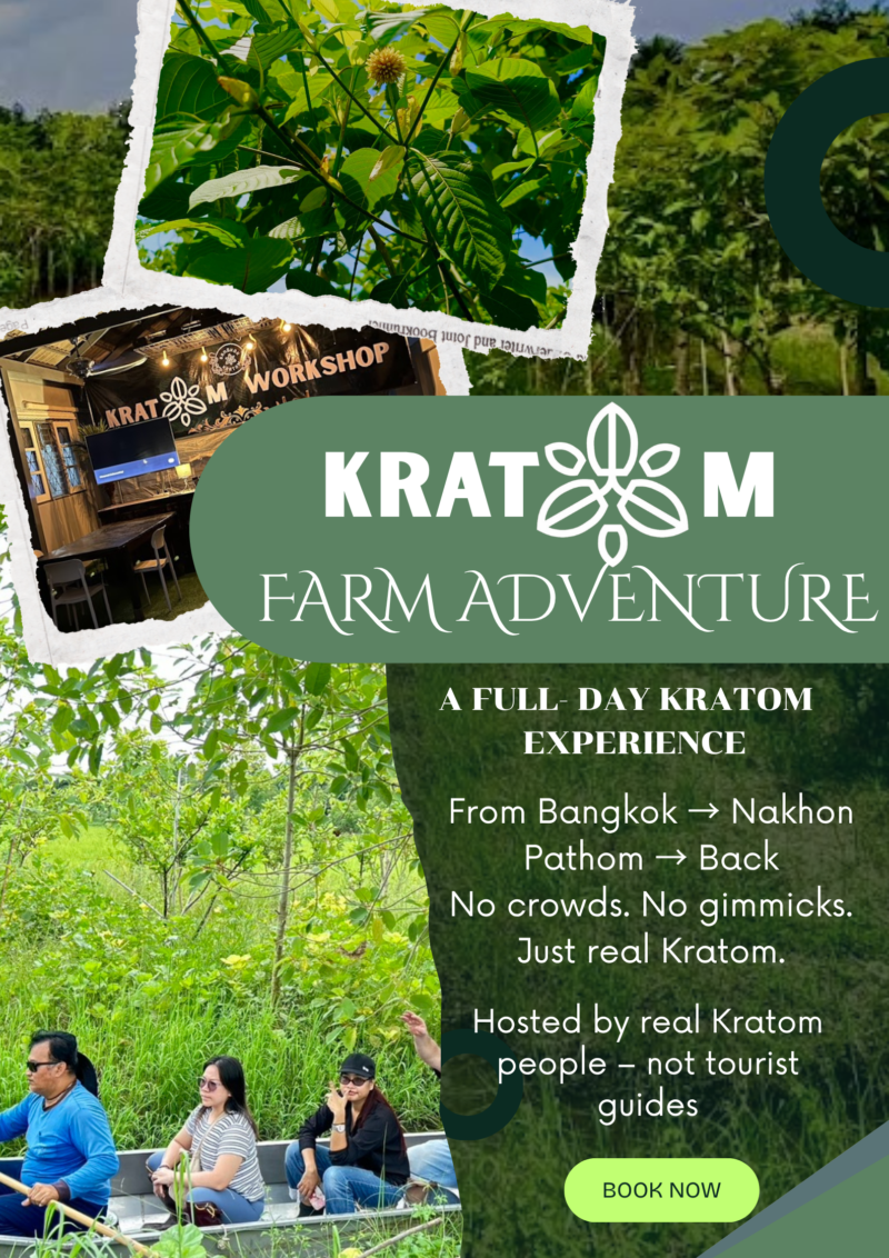 Thai Kratom Farm Visit
