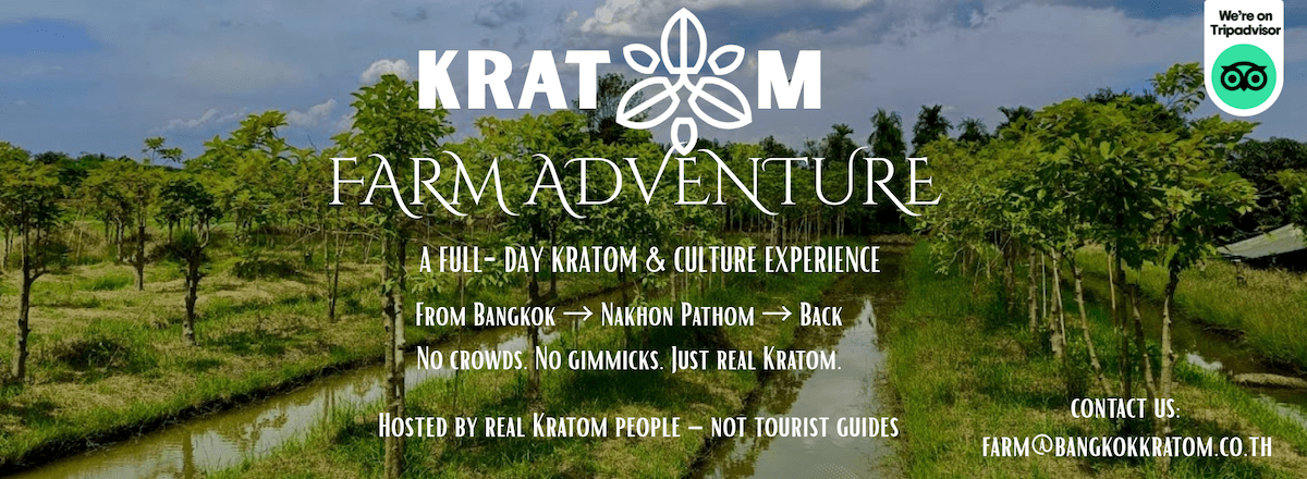 Kratom Farm Adventure