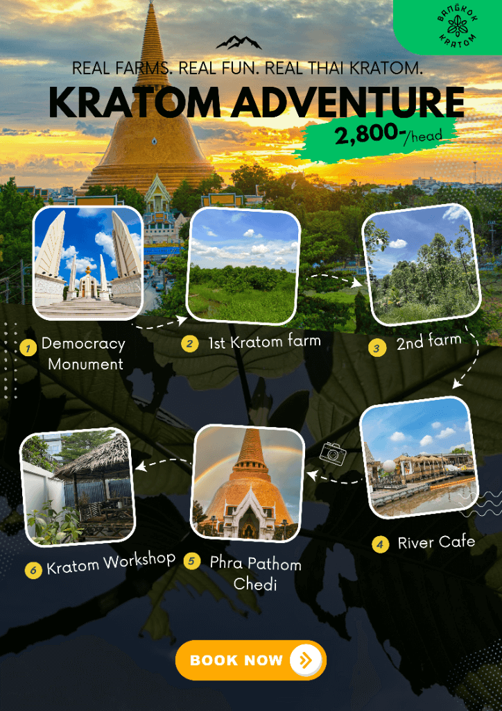 Kratom Adventure Overview