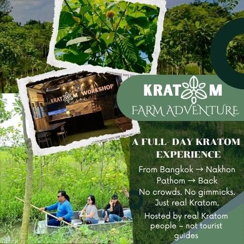 Kratom Farm Visits & Workshop